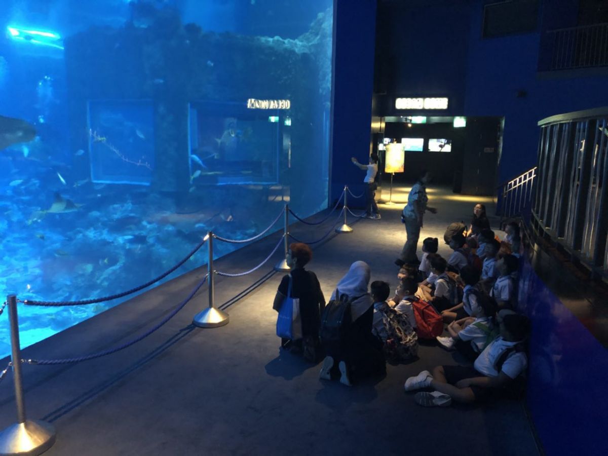 Learning About Life Under The Sea
