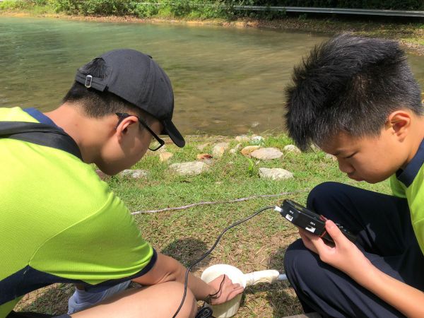 A Field Day Out at MacRitchie